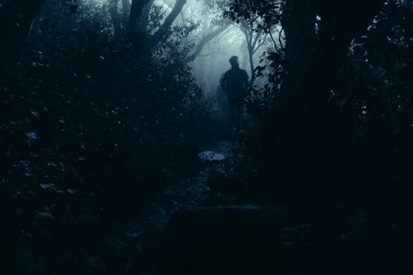 Halloween-spookwandeling-bos Halloween-spookwandeling-bos