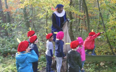 Kinderfeestje sinterklaas thema