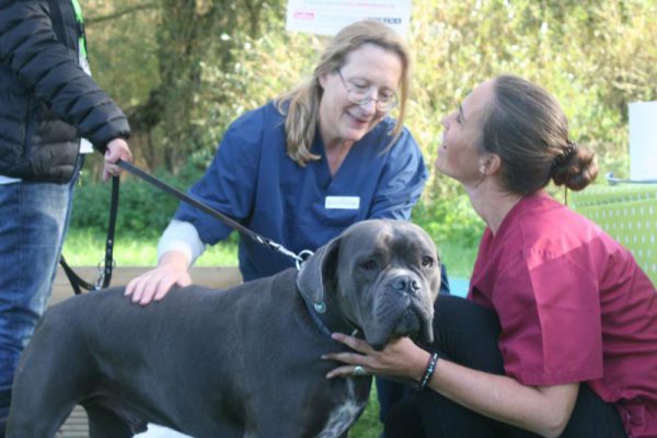 hond bij dierenarts tijdens Dierendag in Almere