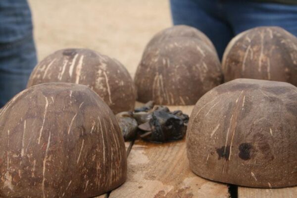 moederdag-almere-eetproef eetproef, hapjes onder kokosnoot