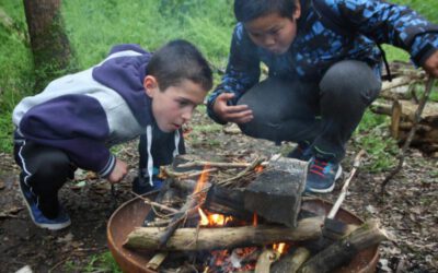 kinderen maken kampvuur