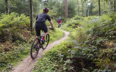 Mountainbiken-Bergherbos-uitje
