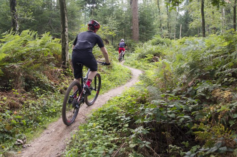 Mountainbiken-Bergherbos-uitje