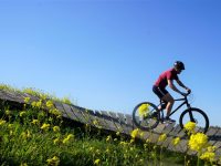 Mountainbike Clinic - zondag 28 mei