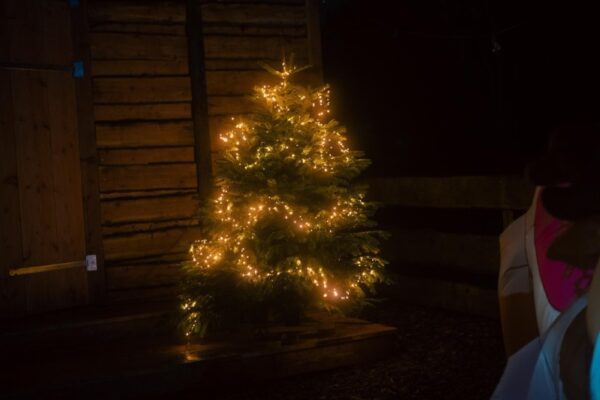 verlichte-kerstboom-winterse-sfeer-outdoorpark-almere - Outdoorpark SEC Almere Sfeervol verlichte kerstboom buiten bij nacht, onderdeel van de winterse decoratie van Outdoorpark Almere